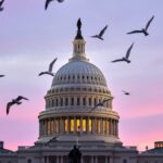 MORNING GLORY: The countryside versus the capitol part I